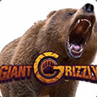 Giant Grizzly